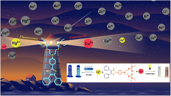 Graphical abstract: Development of tissue paper-based chemosensor and demonstration for the selective detection of Cu2+ and Hg2+ ions