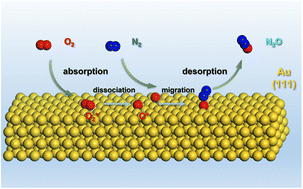 Graphical abstract: Surface-strain-enhanced oxygen dissociation on gold catalysts