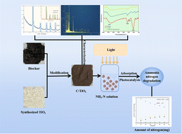 Graphical abstract: Photocatalytic performance of biochar-modified TiO2 (C/TiO2) for ammonia–nitrogen removal