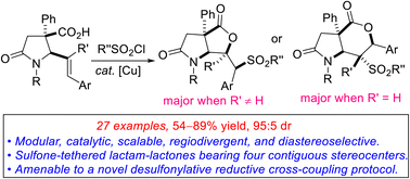 Graphical abstract: Regiodivergent synthesis of sulfone-tethered lactam–lactones bearing four contiguous stereocenters