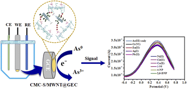 Graphical abstract: Hybridized sulfated-carboxymethyl cellulose/MWNT nanocomposite as highly selective electrochemical probe for trace detection of arsenic in real environmental samples