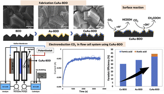 Graphical abstract: Electrochemical reduction of carbon dioxide to acetic acid on a Cu–Au modified boron-doped diamond electrode with a flow-cell system