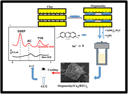 Graphical abstract: Solvothermal synthesis of organoclay/Cu-MOF composite and its application in film modified GCE for simultaneous electrochemical detection of deoxyepinephrine, acetaminophen and tyrosine