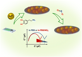 Graphical abstract: Highly sensitive capacitance-based nitrite sensing using polydopamine/AuNPs-modified screen-printed carbon electrode