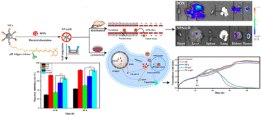 Graphical abstract: pH-Sensitive nanodiamond co-delivery of retinal and doxorubicin boosts breast cancer chemotherapy