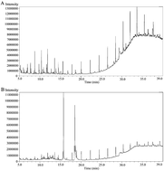 Graphical abstract: Natural defense against multi-drug resistant Pseudomonas aeruginosa: Cassia occidentalis L. in vitro and in silico antibacterial activity