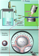 Graphical abstract: The volatile release evaluation of nicotine from snus products under different storage conditions based on surface-enhanced Raman spectroscopy technology