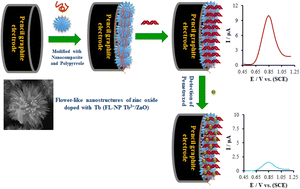 Graphical abstract: A nanoscale electrochemical guanine DNA-biosensor based on a flower-like nanocomposite of Tb-doped ZnO for the sensitive determination of pemetrexed