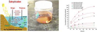 Graphical abstract: Fe–Al binary composite filled dialysis membrane tubes (DMT-HFAO): a modified method for assessment of phosphate desorption from aqueous and soil solutions