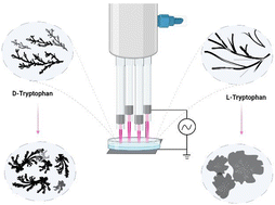 Graphical abstract: Investigating the impact of inbuilt cold atmospheric pressure plasma on molecular assemblies of tryptophan enantiomers: in vitro fabrication of self-assembled supramolecular structures