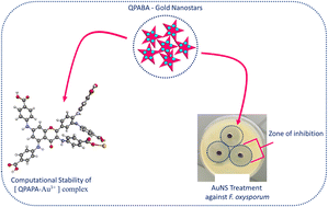 Graphical abstract: Controlled synthesis and computational analysis of gold nanostars for the treatment of Fusarium oxysporum