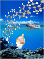 Graphical abstract: Novel decomposition of polycarbonate and effect for marine ecosystem