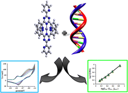 Graphical abstract: Antibacterial activity and DNA interaction of triazine iron and ruthenium complexes: spectroscopic, voltammetric and theoretical studies