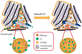 Graphical abstract: Using polyacrylamide hydrogel to adsorb chloride ions in cement-based materials