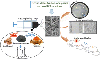 Graphical abstract: Wound healing efficacy of curcumin-loaded sandalwood bark-derived carbon nanosphere/PVA nanofiber matrix