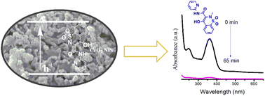 Graphical abstract: Neem plant extract-assisted synthesis of CeO2 nanoparticles for photocatalytic degradation of piroxicam and naproxen