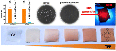 Graphical abstract: Cellulose acetate membranes loaded with combinations of tetraphenylporphyrin, graphene oxide and Pluronic F-127 as responsive materials with antibacterial photodynamic activity
