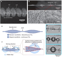 Graphical abstract: Research progress of bionic fog collection surfaces based on special structures from natural organisms