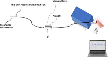 Graphical abstract: Bioanalysis of MMR and KRAS – a key factor in diagnosis of colorectal cancer