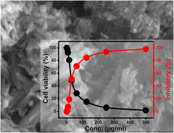 Graphical abstract: Synthesis and characterization of Mg-hydroxyapatite and its cellulose hybridized structure as enhanced bio-carrier of oxaliplatin drug; equilibrium and release kinetics