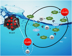 Graphical abstract: Degradation of organic pollutants through activating bisulfite with lanthanum ferrite-loaded biomass carbon