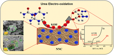 Graphical abstract: Spherical Ni/NiO nanoparticles decorated on nanoporous carbon (NNC) as an active electrode material for urea and water oxidation reactions