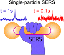 Graphical abstract: Gap-enhanced gold nanodumbbells with single-particle surface-enhanced Raman scattering sensitivity