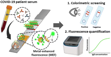 Graphical abstract: Bio-conjugated nanoarchitectonics with dual-labeled nanoparticles for a colorimetric and fluorescent dual-mode serological lateral flow immunoassay sensor in detection of SARS-CoV-2 in clinical samples