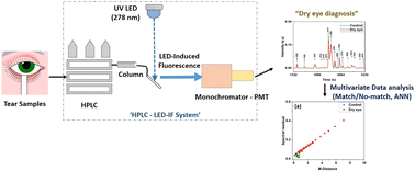 Graphical abstract: Protein profile analysis of tear fluid with hyphenated HPLC-UV LED-induced fluorescence detection for the diagnosis of dry eye syndrome