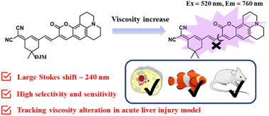 Graphical abstract: Development of a novel near-infrared molecule rotator for early diagnosis and visualization of viscosity changes in acute liver injury models