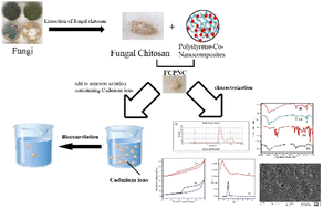 Graphical abstract: Synthesis of fungal chitosan–polystyrene modified by nanoparticles of binary metals for the removal of heavy metals from waste aqueous media