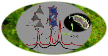 Graphical abstract: Optically amended biosynthesized crystalline copper-doped ZnO for enhanced antibacterial activity