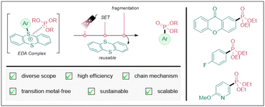 Graphical abstract: Site-selective and metal-free C–H phosphonation of arenes via photoactivation of thianthrenium salts