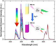 Graphical abstract: Development of an Fe2+ sensing system based on the inner filter effect between upconverting nanoparticles and ferrozine