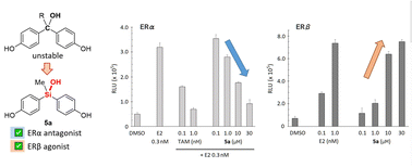 Graphical abstract: Development of subtype-selective estrogen receptor modulators using the bis(4-hydroxyphenyl)silanol core as a stable isostere of bis(4-hydroxyphenyl)methanol