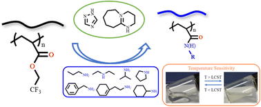 Graphical abstract: Synthesis of functional polyacrylamide (co)polymers by organocatalyzed post-polymerization modification of non-activated esters