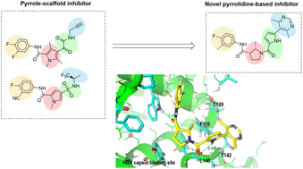 Graphical abstract: Binding characteristics of pyrrole-scaffold hepatitis B virus capsid inhibitors and identification of novel potent compounds