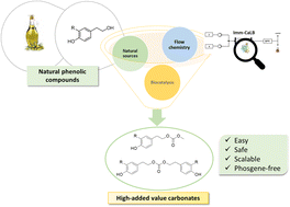 Graphical abstract: Lipase-mediated flow synthesis of nature-inspired phenolic carbonates