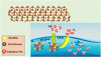 Graphical abstract: An advanced PdNPs@MoS2 nanocomposite for efficient oxygen evolution reaction in alkaline media