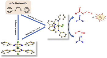 Graphical abstract: Ruthenium complexes of 1,4-diazabutadiene ligands with a cis-RuCl2 moiety for catalytic acceptorless dehydrogenation of alcohols: DFT evidence of chemically non-innocent ligand participation