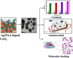 Graphical abstract: Anomalous catalytic and antibacterial activity confirmed by molecular docking analysis of silver and polyacrylic acid doped CeO2 nanostructures