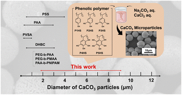 Graphical abstract: Using phenolic polymers to control the size and morphology of calcium carbonate microparticles