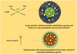 Graphical abstract: Molecular insights into the aggregation and solubilizing behavior of biocompatible amphiphiles Gelucire® 48/16 and Tetronics® 1304 in aqueous media