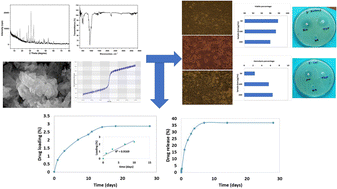 Graphical abstract: β-tricalcium phosphate synthesized in organic medium for controlled release drug delivery application in bio-scaffolds