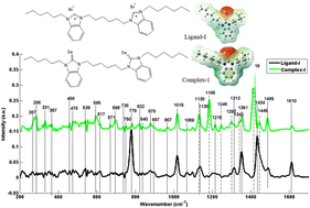 Graphical abstract: Characterization of three different benzimidazolium ligands and their organo-selenium complexes by using density functional theory and Raman spectroscopy