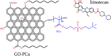 Graphical abstract: Phosphorylcholine-grafted graphene oxide loaded with irinotecan for potential oncology therapy