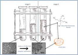 Graphical abstract: Room temperature synthesis of CdSe/CdS triangular nanoemitters and their stabilization in colloidal state and sol–gel glass