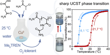 Graphical abstract: Copper-mediated synthesis of temperature-responsive poly(N-acryloyl glycinamide) polymers: a step towards greener and simple polymerisation