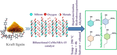Graphical abstract: Catalytic depolymerization of Kraft lignin to high yield alkylated-phenols over CoMo/SBA-15 catalyst in supercritical ethanol