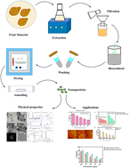 Graphical abstract: Phyto-fabrication of ultrafine nanoscale holmium oxide HT-Ho2O3 NPs and their biomedical potential
